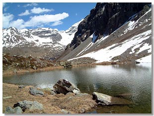 Un'altro piccolo laghetto della Val Viola, non lontano dal rifugio (Foto R.Moiola 2002).