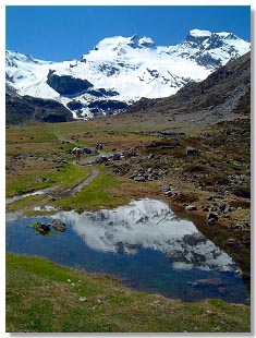 La Val Cantone di Dosd con sullo sfondo l'imponente Vedretta di Dosd e le sue cime: Cima Lago Spalmo e Cima Viola (Foto R.Moiola 2002).