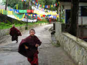 IMG_4327.JPG (812670 byte)