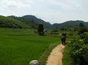 Huay0856.jpg (198374 byte)