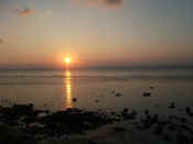 DSCF3924.JPG (326473 byte)