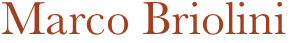 Marco Briolini