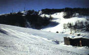 Piani d